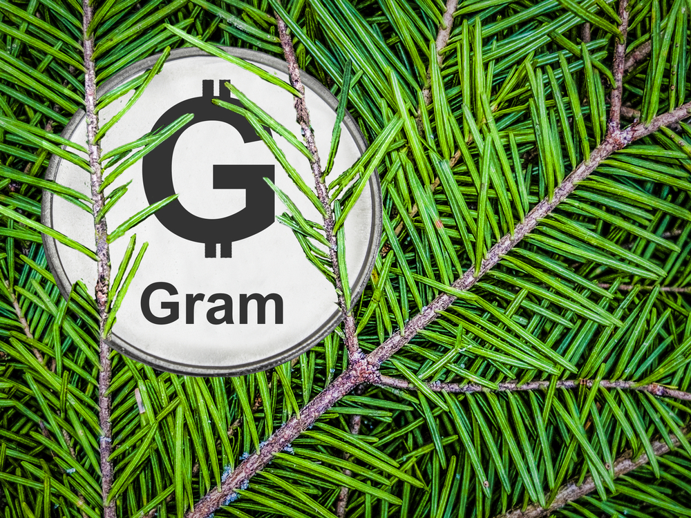 gram token from telegram