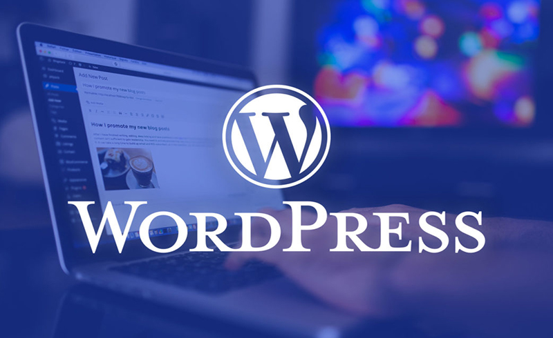 WordPress Now Offers a 100-year Domain and Hosting Plan for $38K