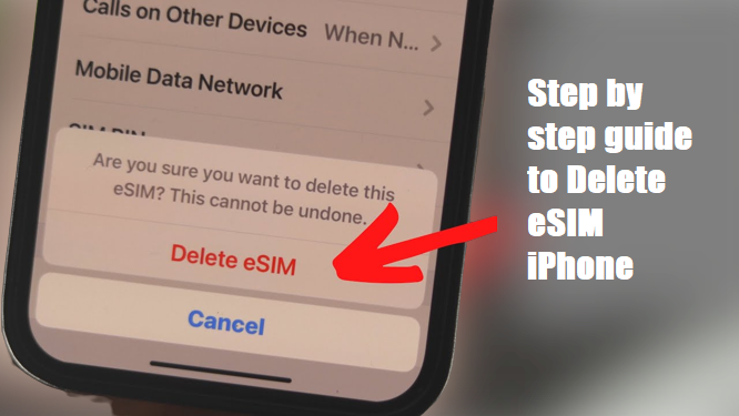 How to Easily Delete an eSIM from Your iPhone and Android Devices