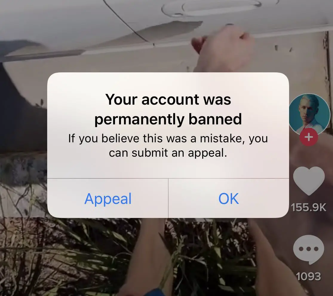 Why TikTok Accounts Get Suspended and How to Fix It